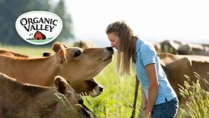 Organic Valley Case Competition