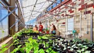 Greenhouse and Garden Technician. GreenHouse-Leopold
