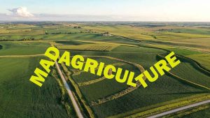 Wilding Manager – Wisconsin