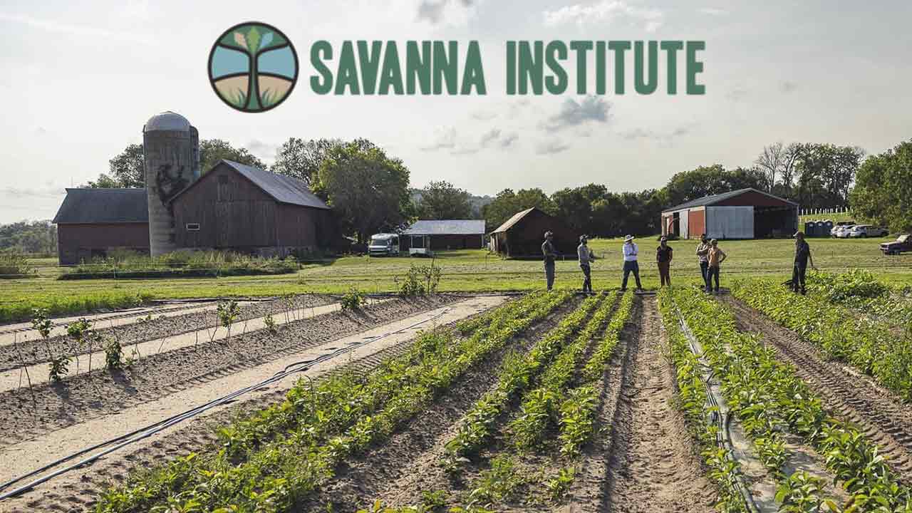Summer Research Assistant–The Savanna Institute