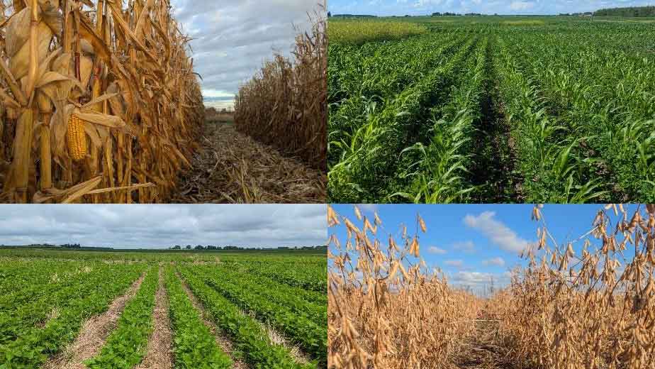 Silva Labs is Hiring