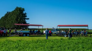 OGRAIN 2026 FIELD DAYS