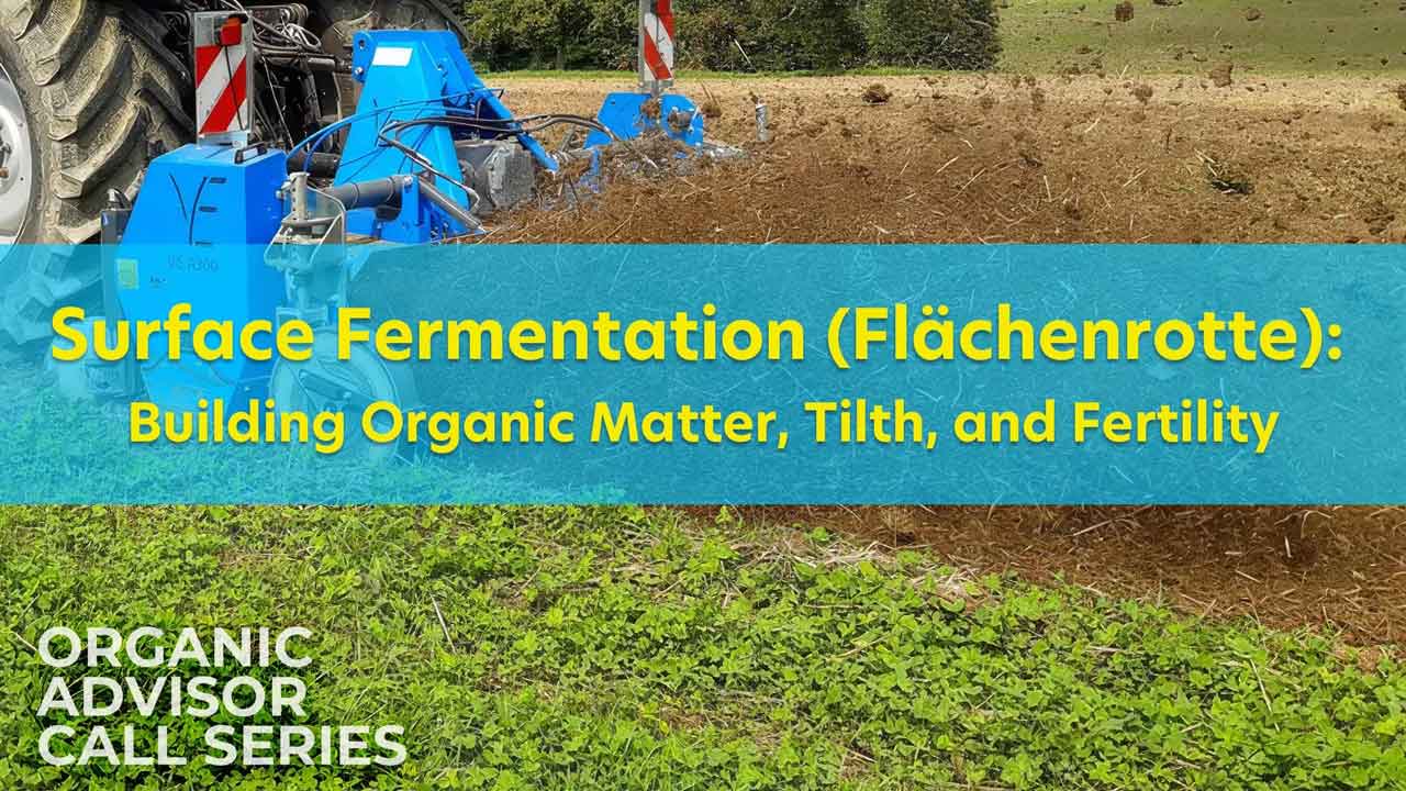 Surface Fermentation (Flächenrotte): Building Organic Matter, Tilth, and Fertility
