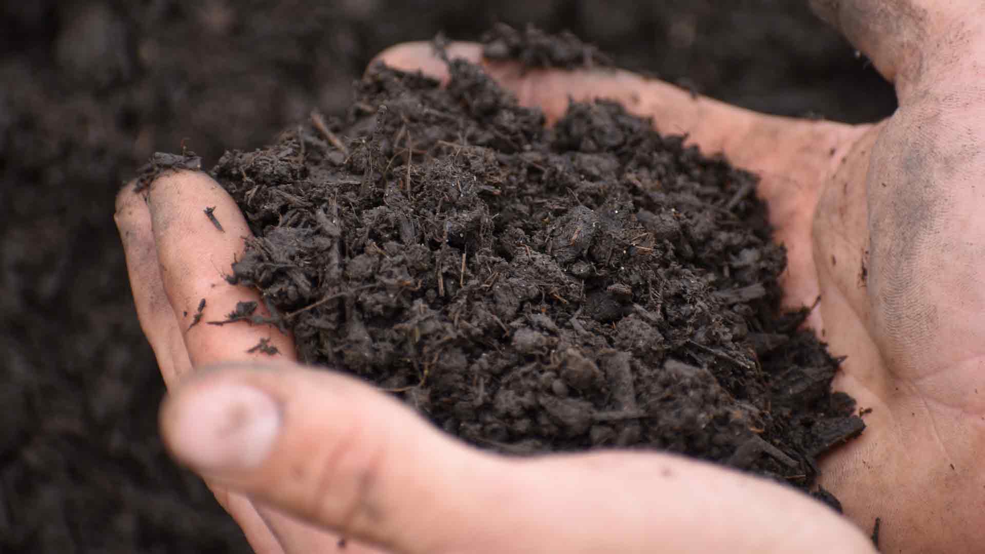 Integrating Organic and Food Safety Requirements When Using Soil Amendments